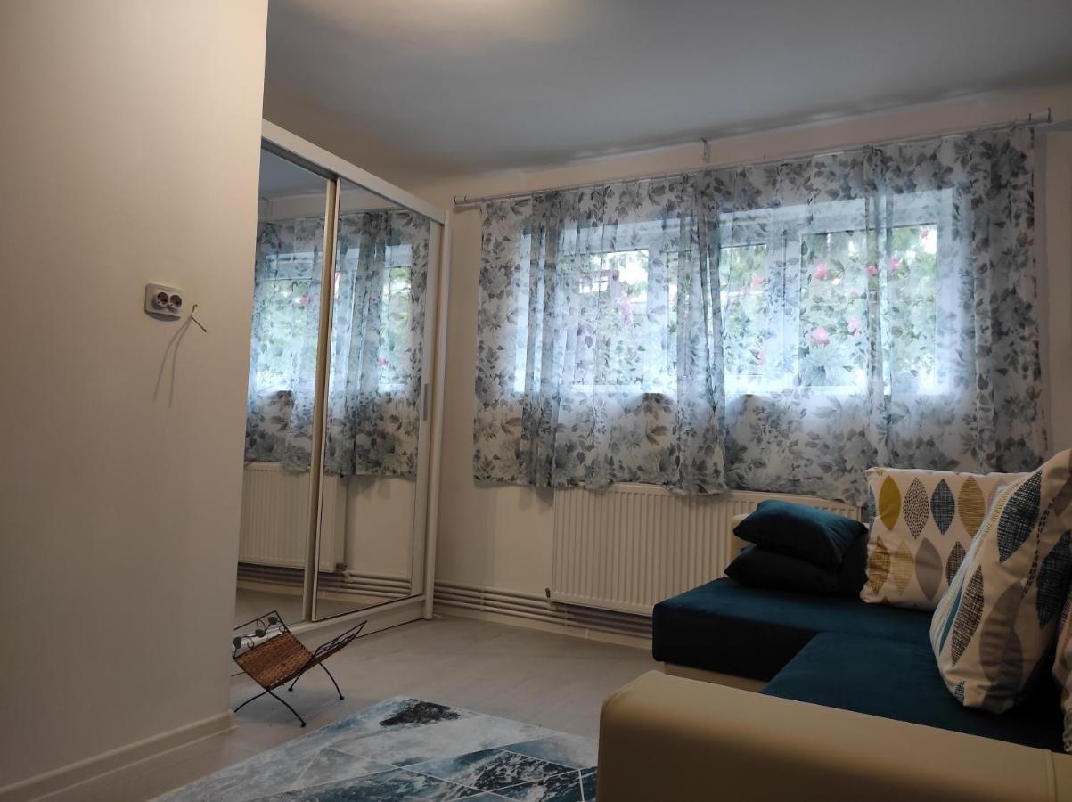 Garsoniera Cocheta Zona Coresi Mall Brasov Ngoại thất bức ảnh